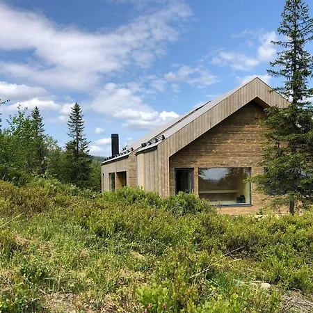 Modern Family With Mountain Views Trysil